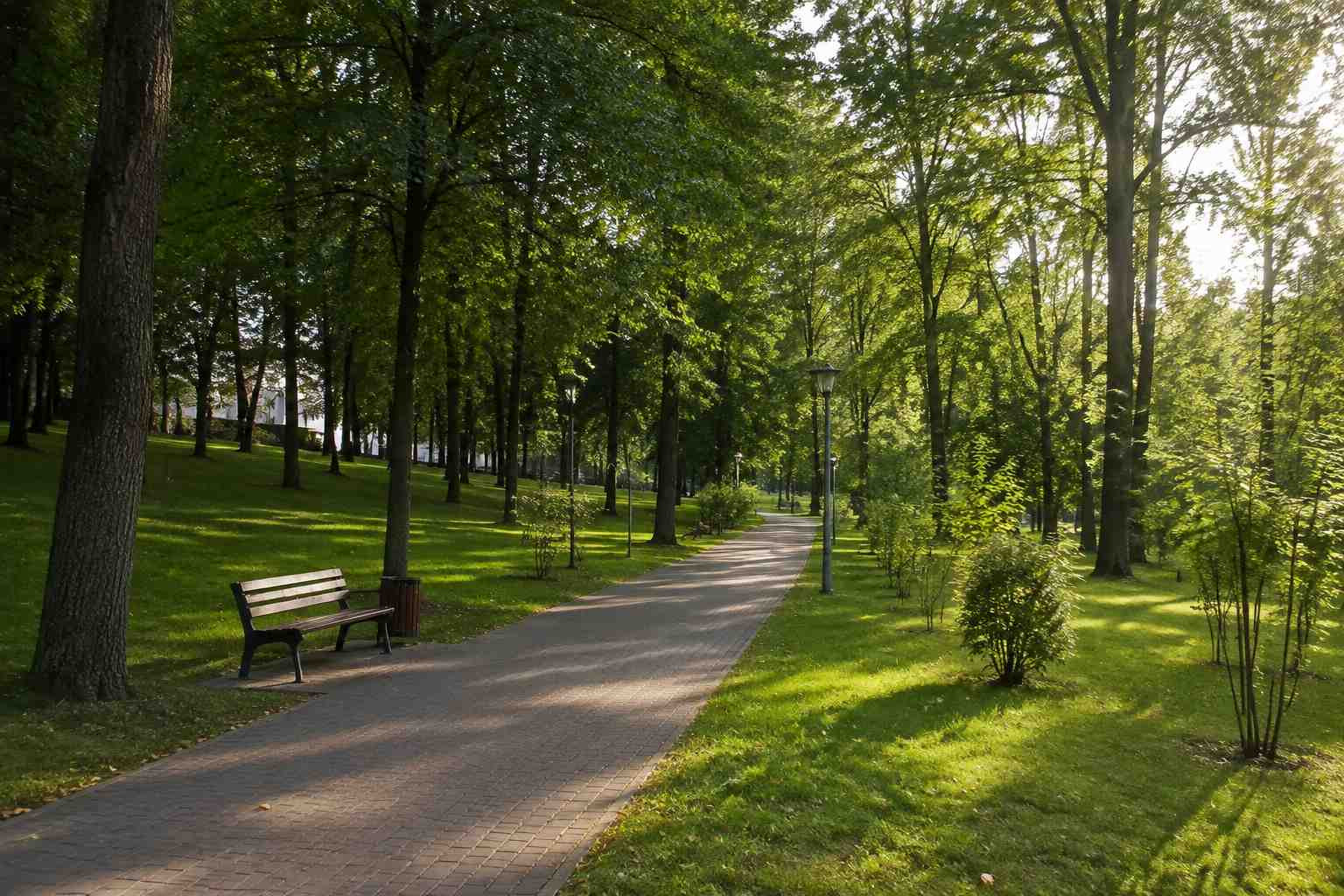 https://omsk.blago-s.ru/storage/app/uploads/public/6a7/eef/ed2/6a7eefed2af22038960370.jpg